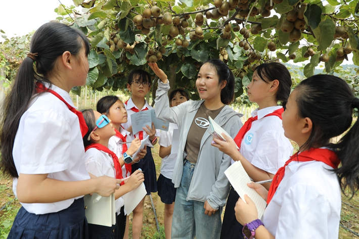 9月6日，枞阳县回岭家庭农场，会宫中心学校老师为学生们讲解猕猴桃知识。.jpg